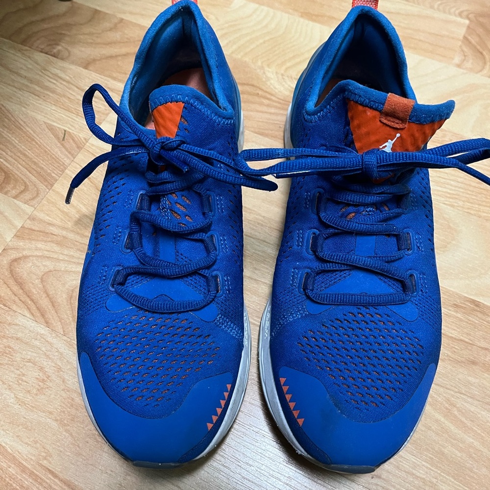 Florida Gator Jordan sneakers